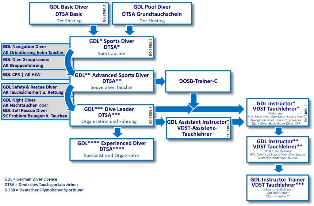 schaubild ausbildung